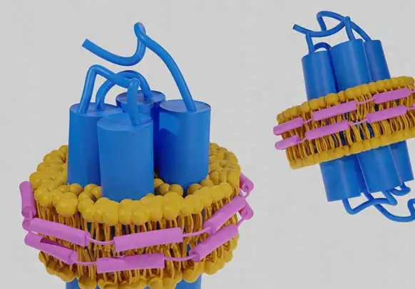 Membrane Proteins & Nanodiscs