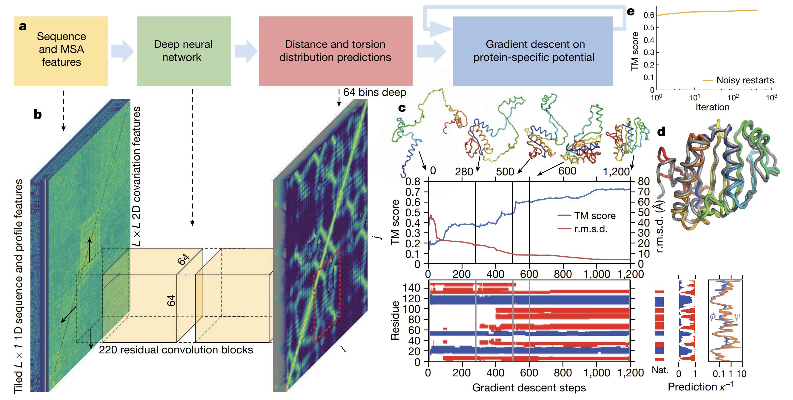 The Evolution of AlphaFold: A Milestone in Protein Structure Prediction