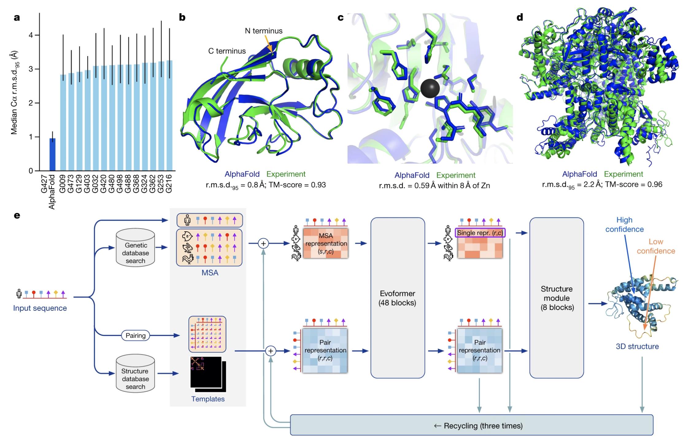 Figure 2. Performance and predictions of AlphaFold 2 on CASP14 dataset.