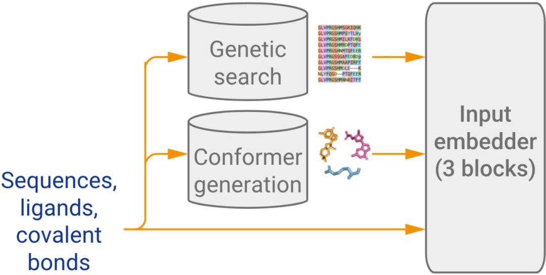 Figure 2: Input embedder structure in AlphaFold3.