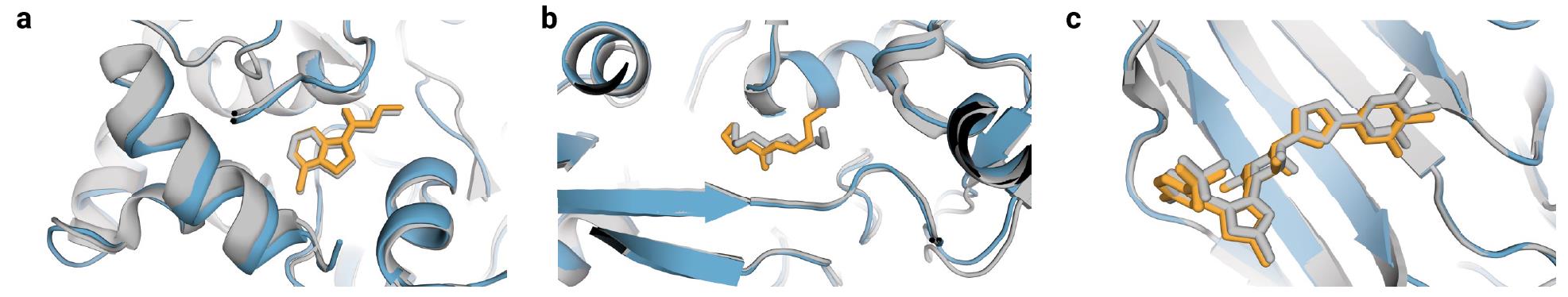 Figure 8: Successful AlphaFold3 predictions where Vina/Gold docking failed.