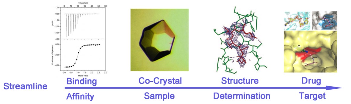 Workflow of  co-crystallization services
