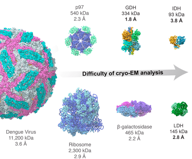 Figure 1. Cryo-EM for small proteins