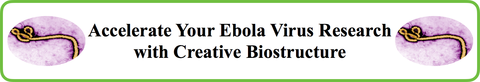 Discovery Program for Ebola Virus Targets