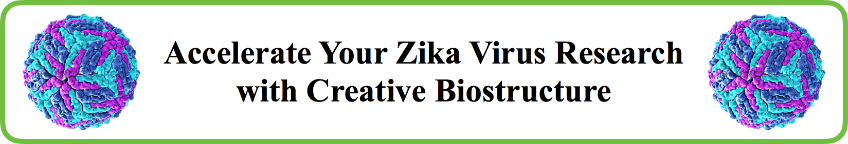 Discovery Program for Zika Virus Targets