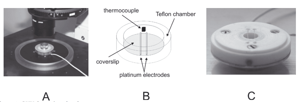 Figure 1. GUV formation chamber. A perfect tool to visualize phase separation and lipid rafts in model systems. 2009)
