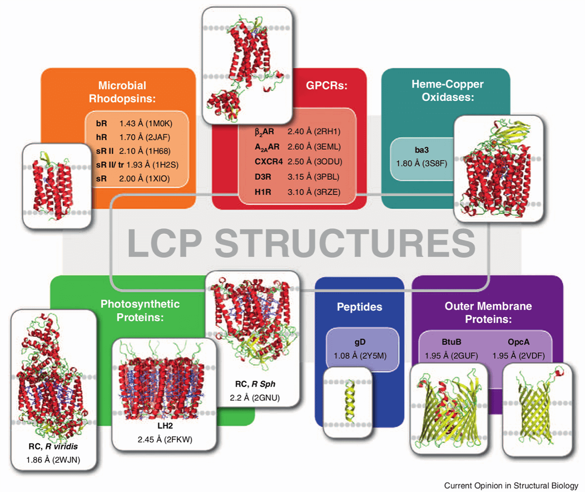 A gallery of protein and  peptide structures obtained by LCP crystallization