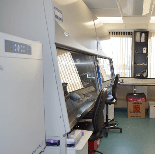 Cell culture room