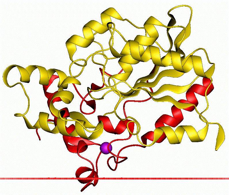 Mempro™ Cell-Based Alpha/Beta-Ηydrolase Production