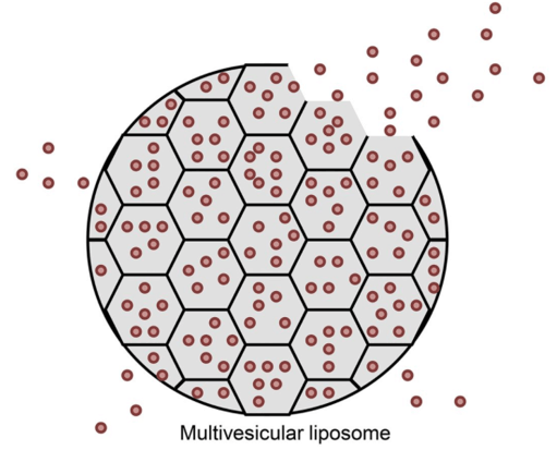 Multivesicular Liposomes Production