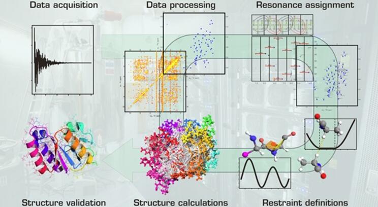 NMR data processing from signal to 3D structure