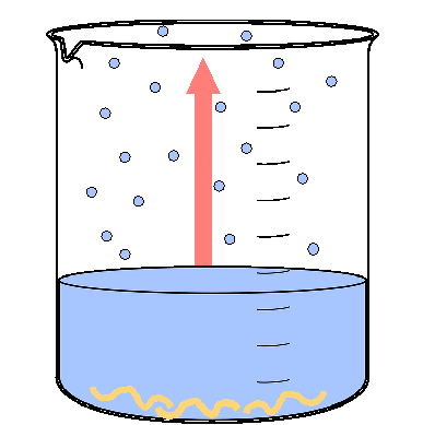 Diagram of the  evaporation method
