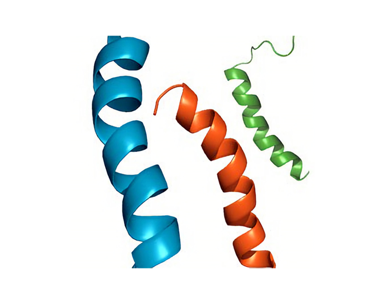 Peptide Crystallization