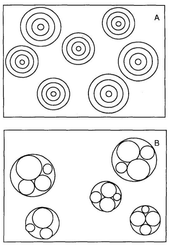 Figure 1. Types of multilamellar vesicles. A: Classical multilamellar vesicles. B: Multivesicular vesicles.
