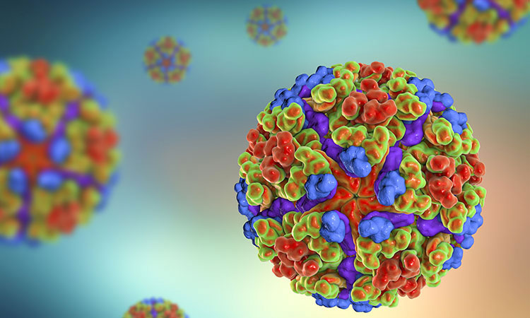 Virus-like Nanoparticle Production