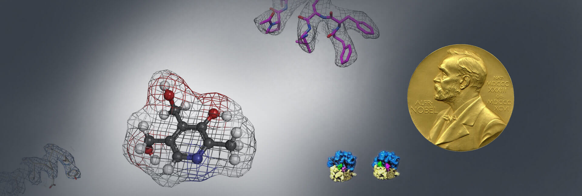 Creative Biostructure Protein Structure And Characterization Drug