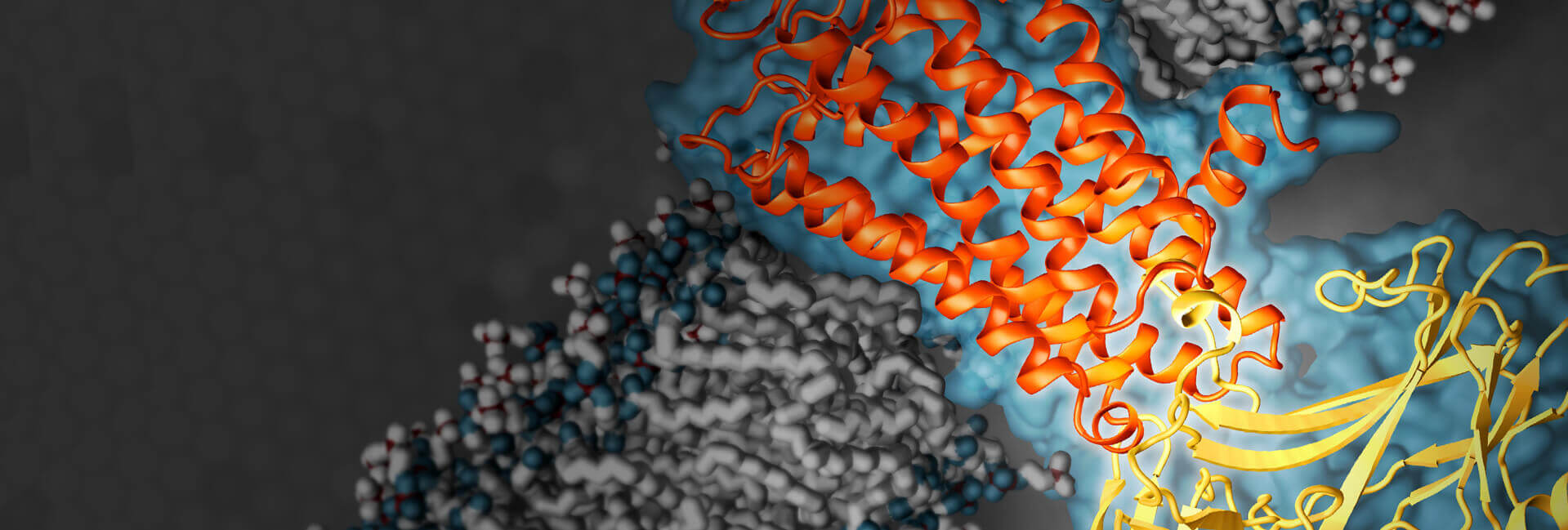 Creative-Biostructure, Protein Structure And Characterization, Drug ...