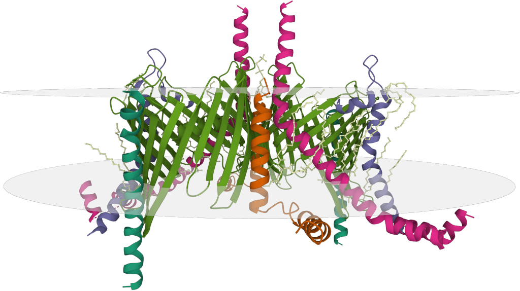 Protein production and engineering services.