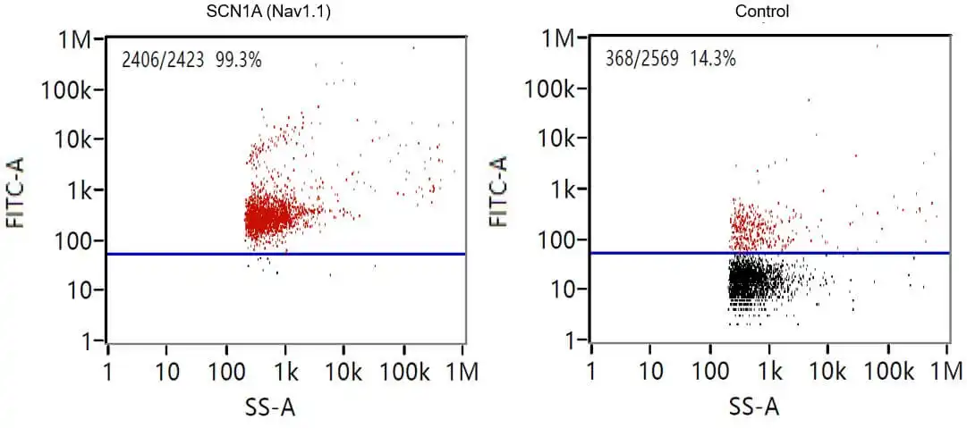 Figure 2. Nano-flow cytometry (nFCM) result for exosome sample.