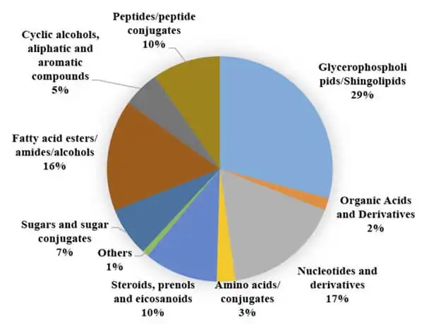 Figure 4. Exosome metabolomics analysis.