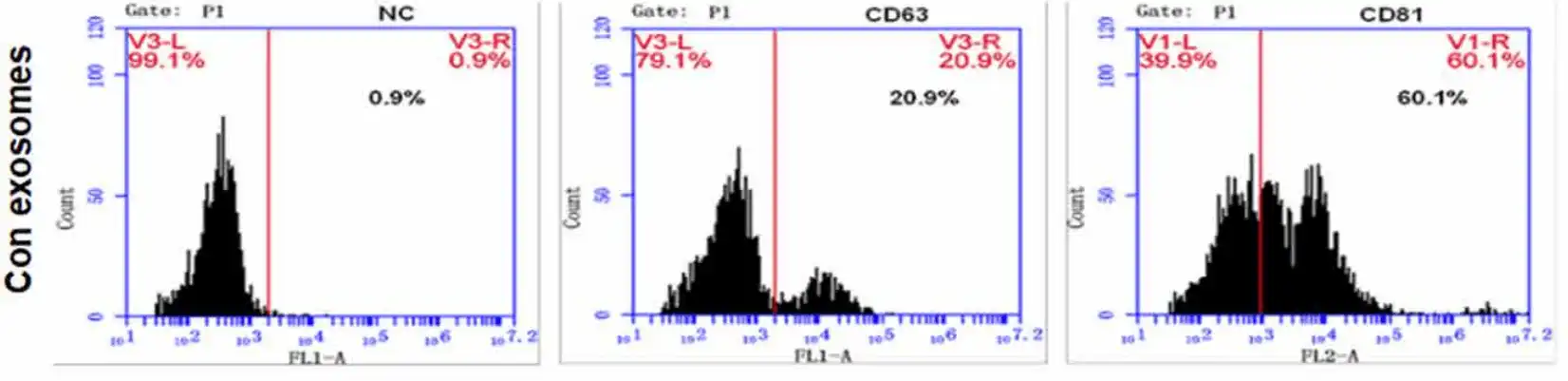 Figure 4. Flow cytometry of exosome marker proteins.