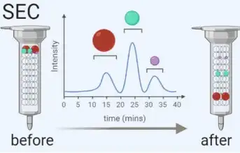 Schematic of size-exclusion chromatography-based exosome isolation