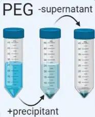 Schematic of PEG-based exosome isolation.