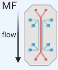 Schematic of microfluidics-based exosome isolation.