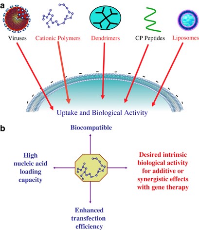 Mempro™ Liposome in Gene Therapy - Creative Biostructure