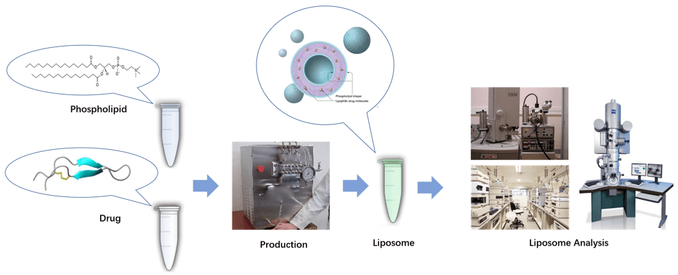Workflow for liposome production and analysis.