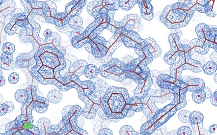 Density map of protein complex from X-ray crystallography data.