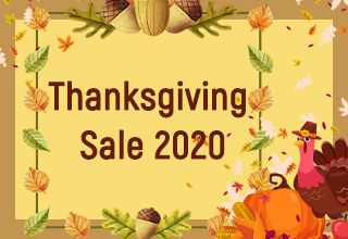 Thanksgiving Sale 2020