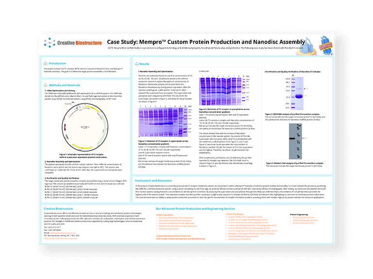 Case Study on F2 Receptor Production and Nanodisc Assembly