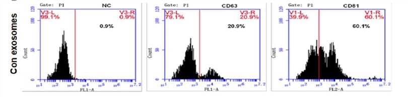 Flow cytometry of marker proteins CD9, CD63, CD81, and TSG101.