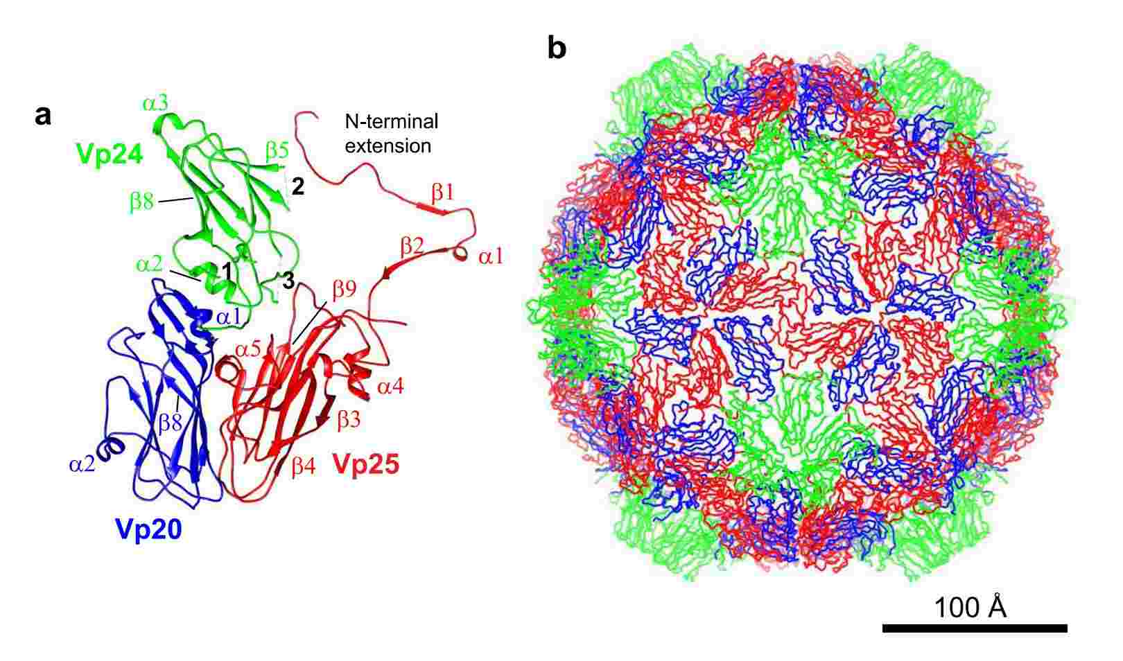 Structure of apple-latent spherical virus (ALSV), determined by single-particle cryo-EM.