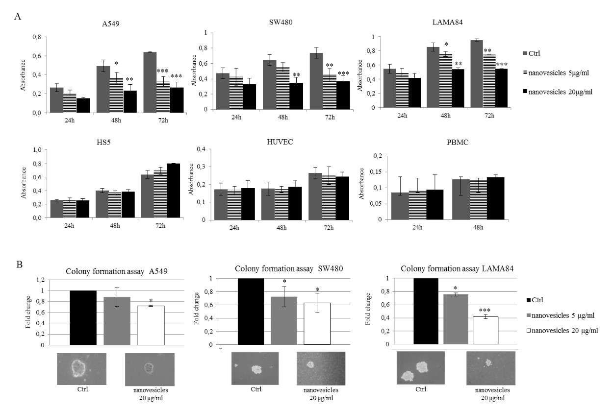 Graphs showing the effects of Citrus nanovesicles on tumor cell growth and survival by MTT assay and colony formation assay.