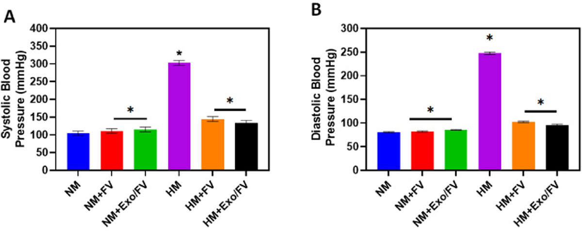 Comparison of systolic blood pressure before and after L-NAME-induced hypertension, showing the effect of Falcaria vulgaris exosome treatment, which tends to lower blood pressure.