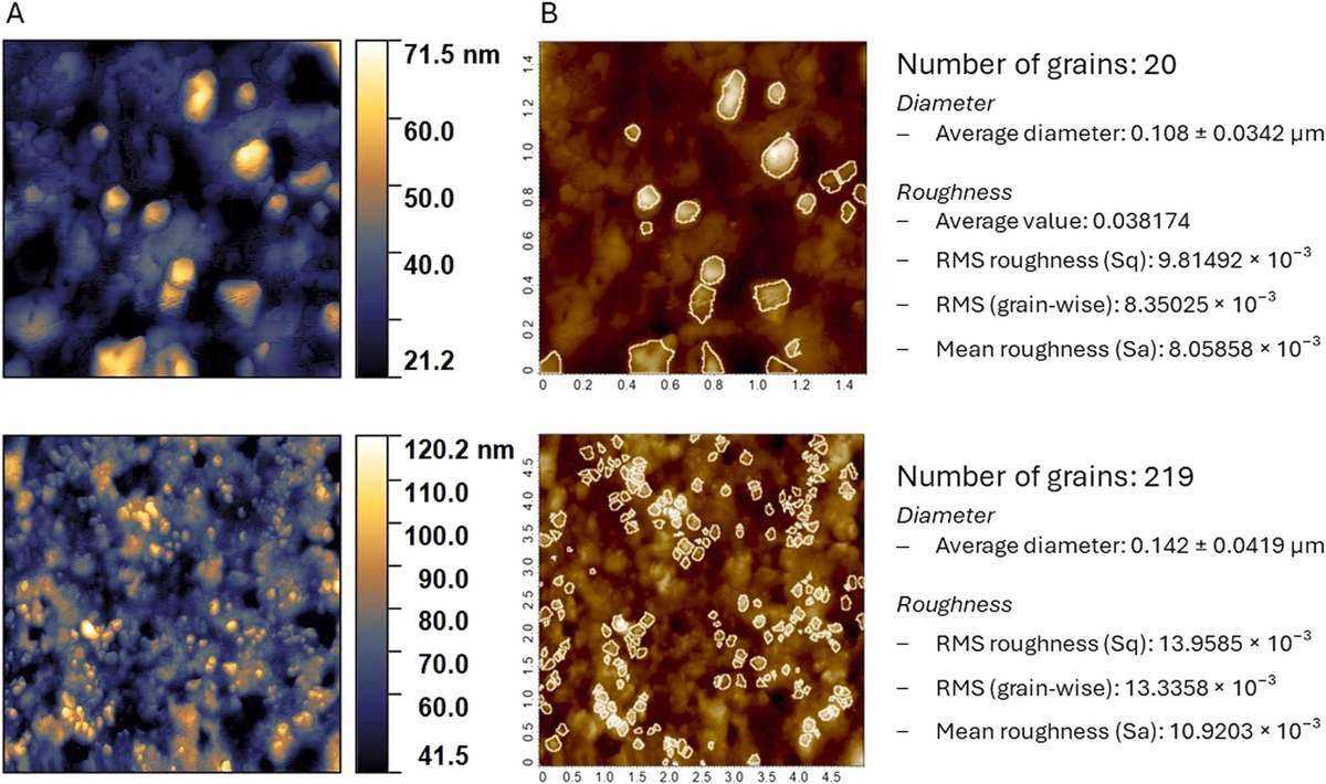 Representative AFM images showing the topography of almond-derived nano vesicles from roasted almonds.