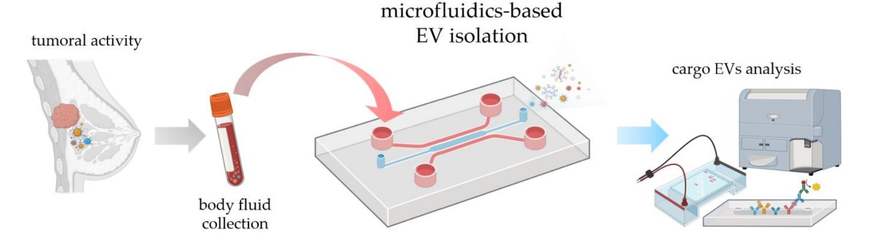 Figure 1. Workflow for tumor diagnosis by microfluidic extracellular vesicle isolation strategy.