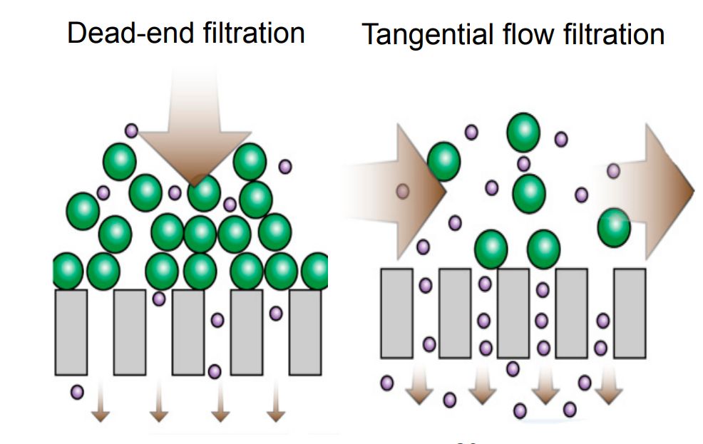 Figure 2. Diagram of the difference between TFF and dead-end filtration.