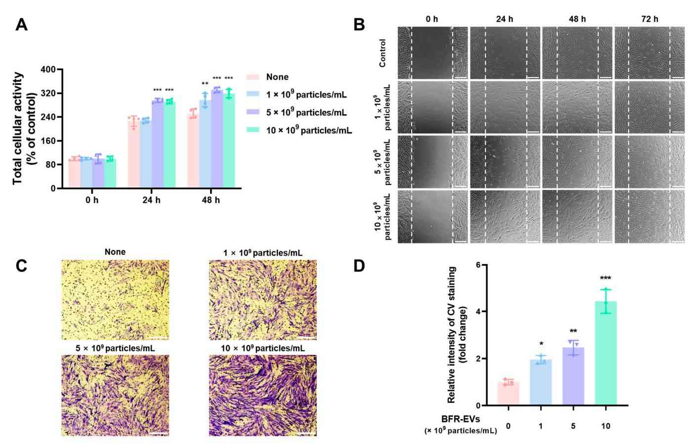 Figure 2. FR-EVs promote human dermal fibroblast (HDF) proliferation.