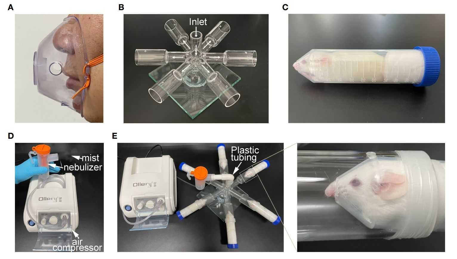 Figure 1. Exosome atomization inhalation system.