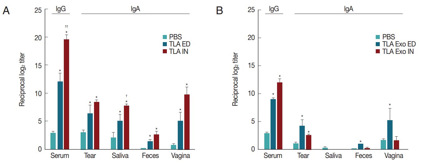 Figure 4. Exosome-based vaccines elicit Toxoplasma gondii immune responses.