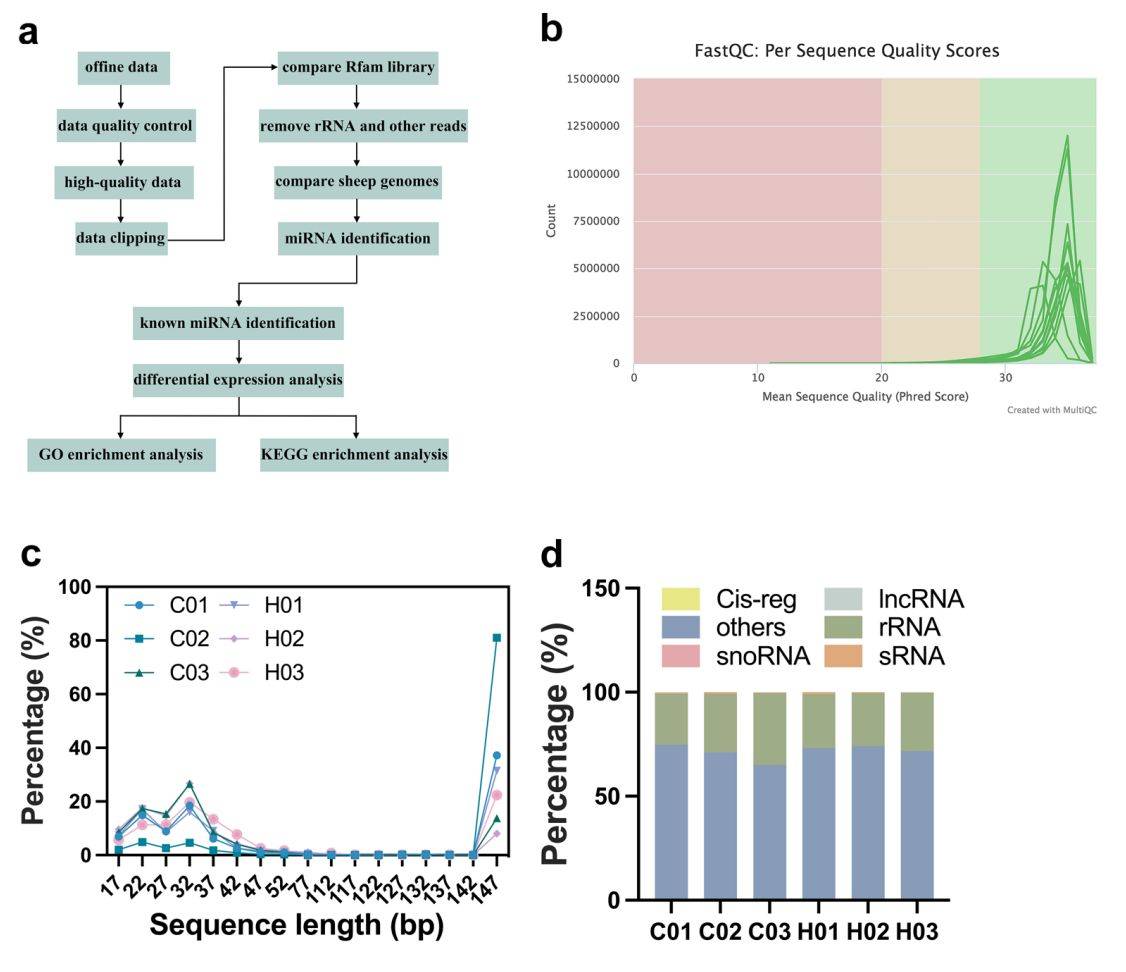 Figure 2. Small RNA sequencing of exosomes from lambs.