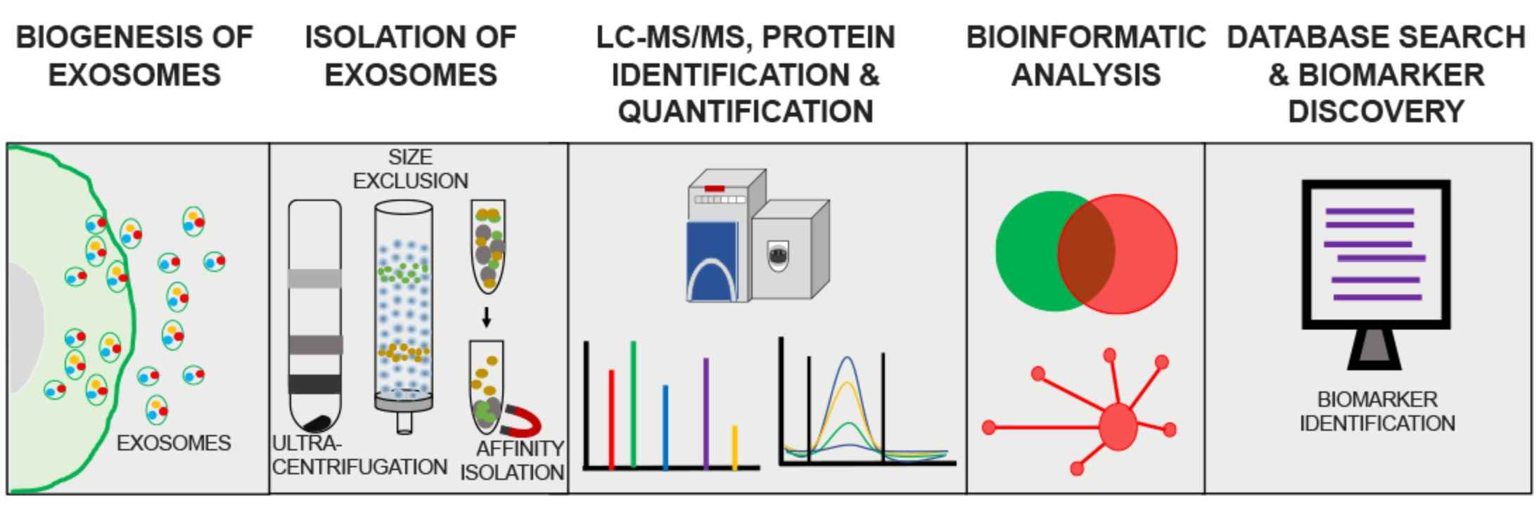 Figure 2. Exosomal proteins as emerging biomarkers.