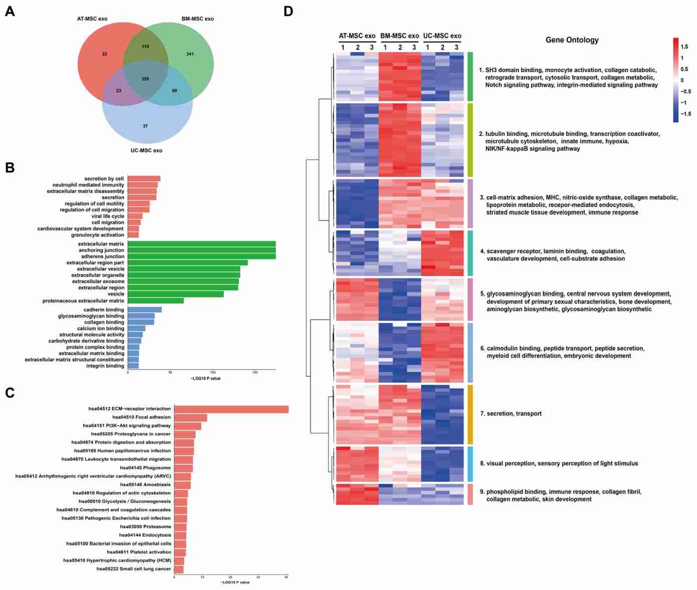 Figure 4. Horizontal bioinformatics analysis of exosomal proteins.