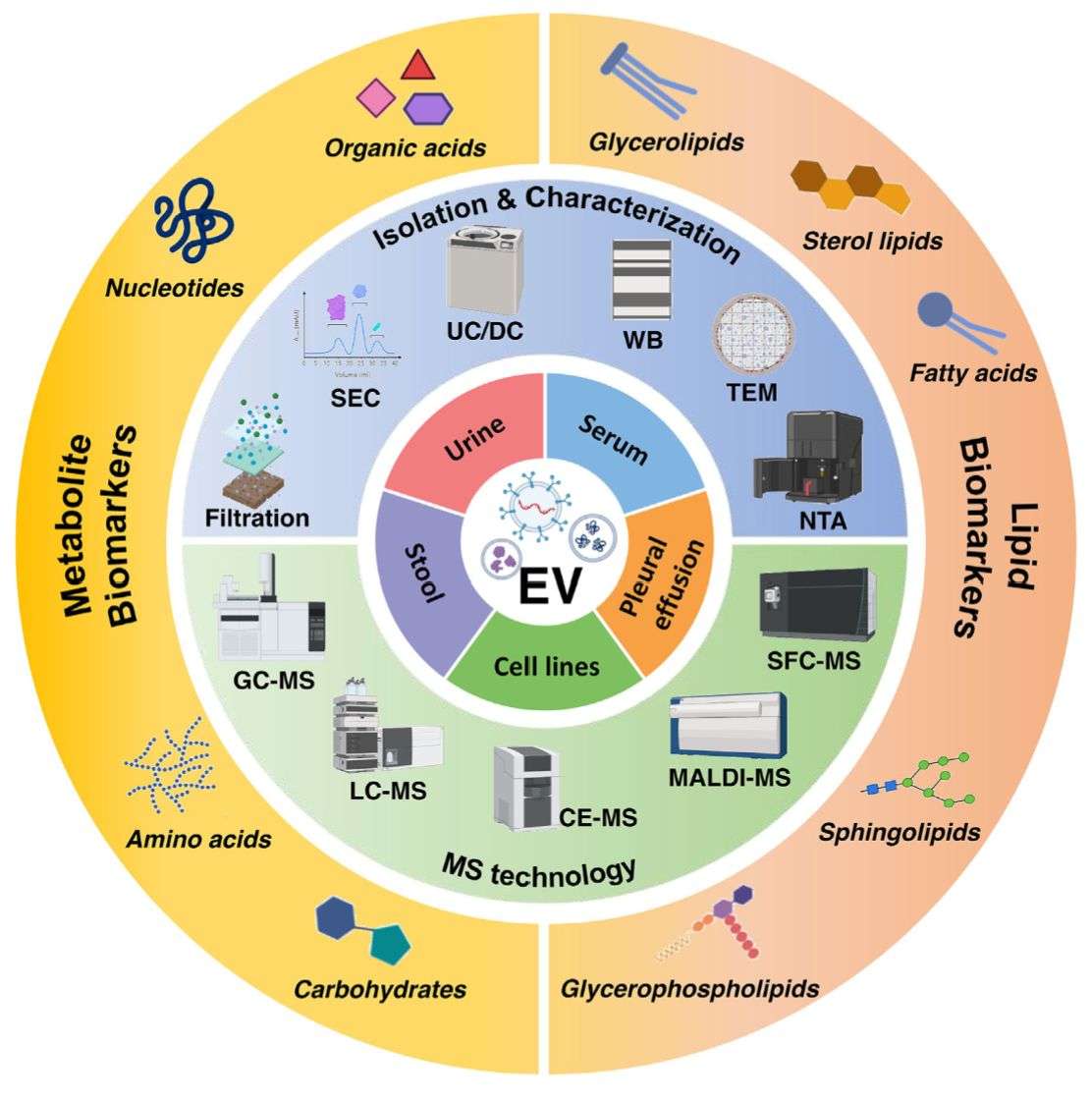 Figure 1. Techniques for exosomal metabolomics and lipidomics.