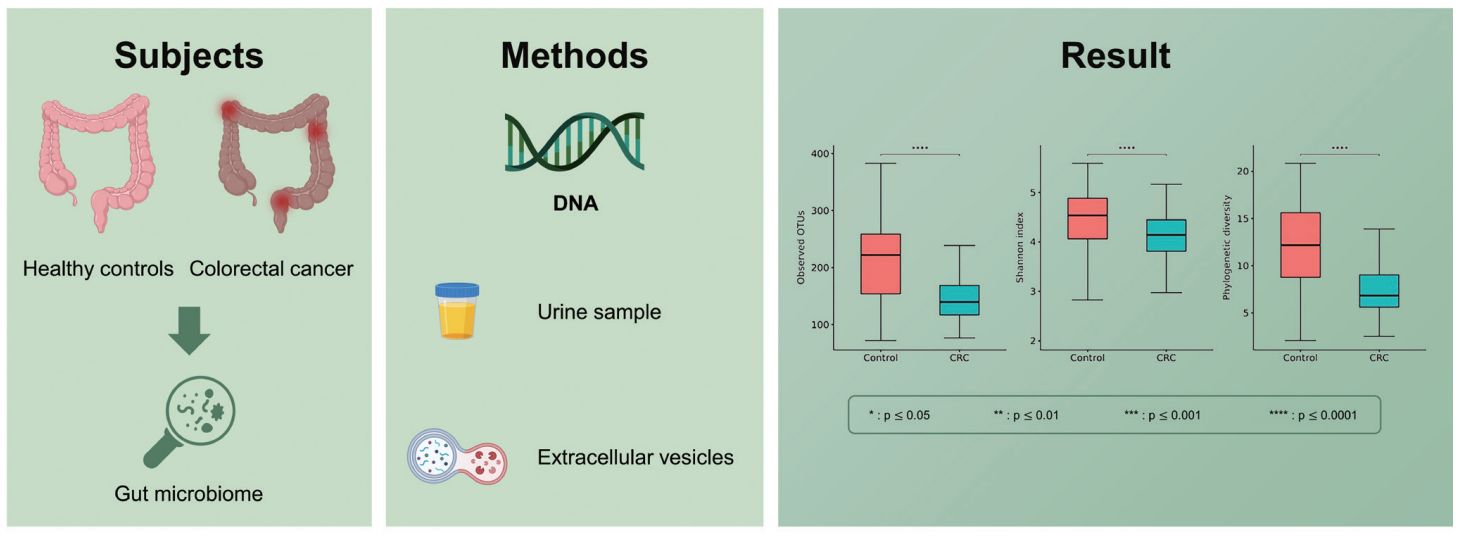 Figure 3. EVs in the urine of colorectal cancer patients are used to analyze the gut microbiome.