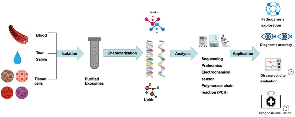 Figure 2.Exosomes as diagnostic biomarkers.