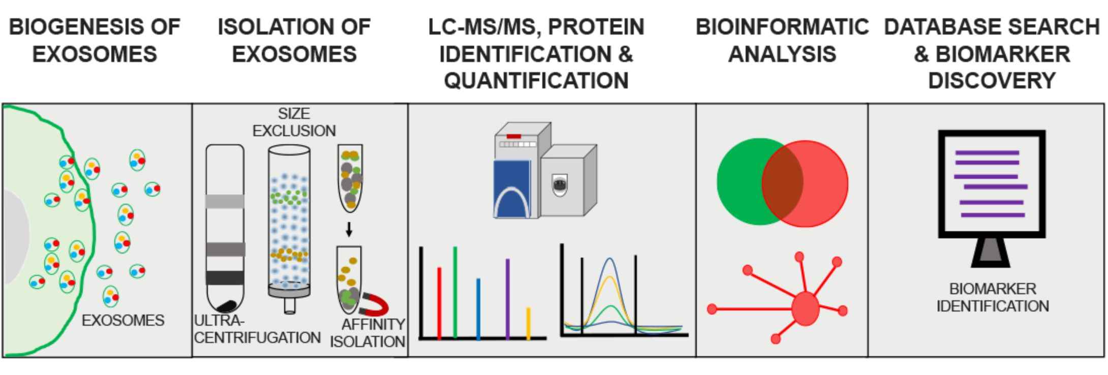 Figure 3. Exosome proteomics analysis.